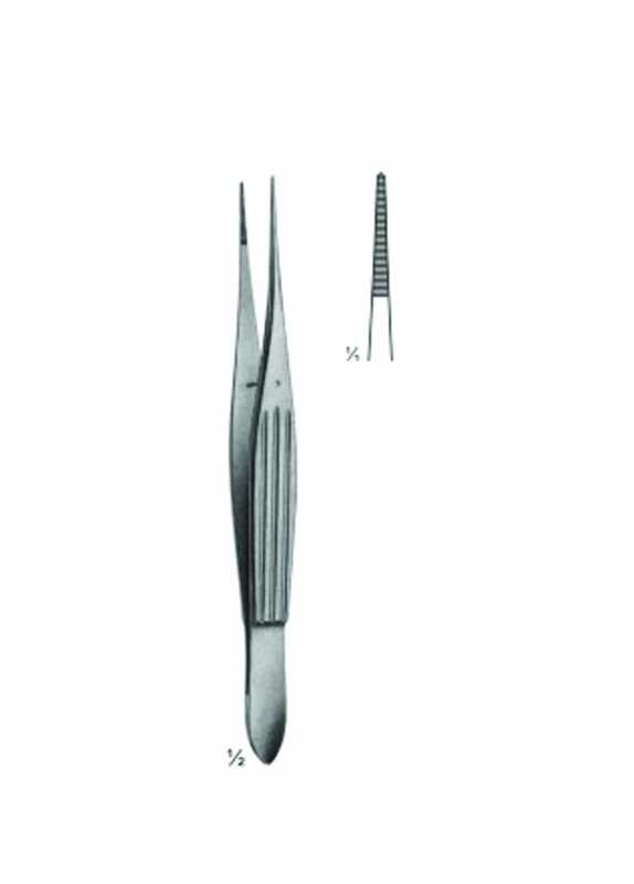 Delicate Dissecting Forceps